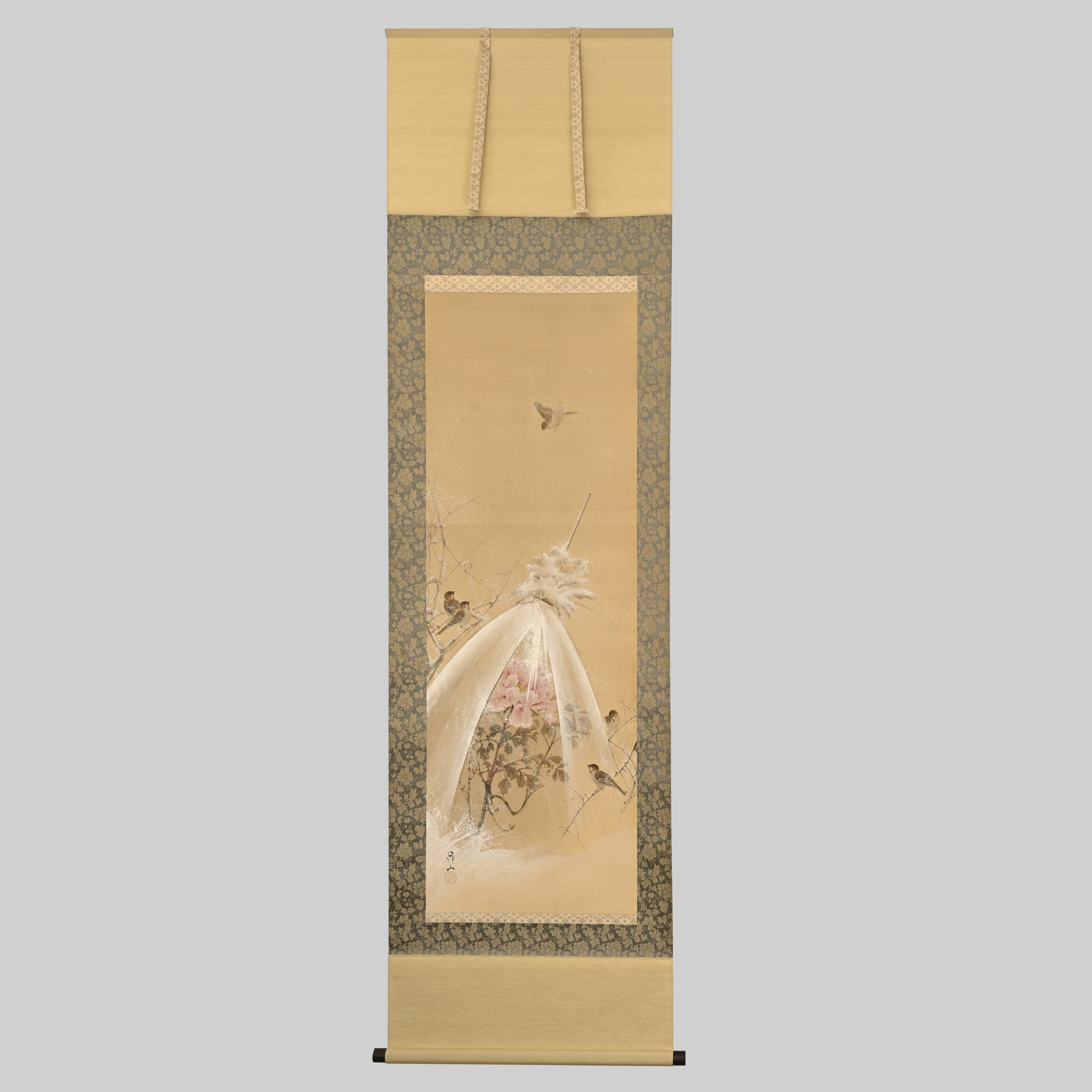 G2113-scaled.jpg