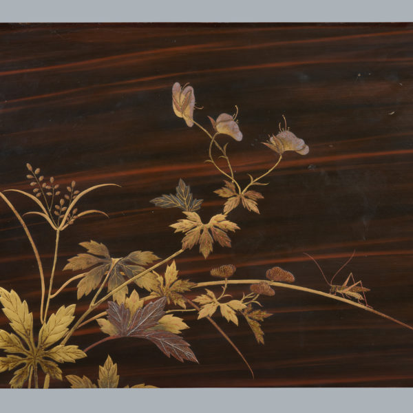 Lacquer panel with a grasshopper on torikabuto (aconitum)