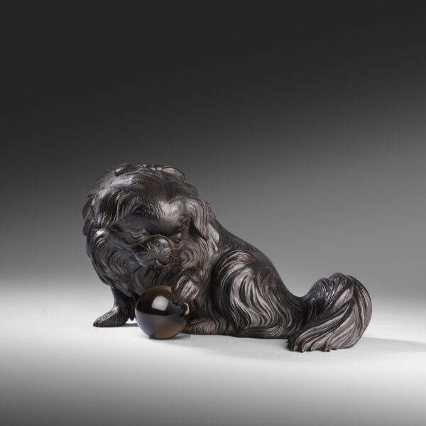Bronze Pekinese dog